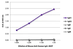 Mouse Anti-Human IgA1 (Fc) antibody [B3506B4] (Biotin). GTX04182-02