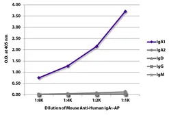 Mouse Anti-Human IgA1 (Fc) antibody [B3506B4] (AP). GTX04182-03