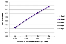 Mouse Anti-Human IgA2 (Fc) antibody [A9604D2] (HRP). GTX04183-01
