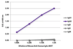 Mouse Anti-Human IgA2 (Fc) antibody [A9604D2] (Biotin). GTX04183-02