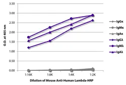 Mouse Anti-Human lambda light chain antibody [JDC-12] (HRP). GTX04185-01