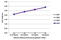 Mouse Anti-Human IgG4 (pFc') antibody [HP6023]. GTX04186