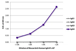 Mouse Anti-Human IgG4 (Fc) antibody [HP6025] (AP). GTX04187-03