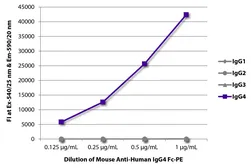 Mouse Anti-Human IgG4 (Fc) antibody [HP6025] (PE). GTX04187-08