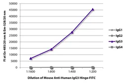 Mouse Anti-Human IgG3 (hinge region) antibody [HP6050] (FITC). GTX04188-06