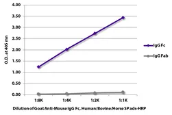 Goat Anti-Mouse IgG (Fc) antibody, pre-adsorbed (HRP). GTX04190-01