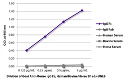 Goat Anti-Mouse IgG (Fc) antibody, pre-adsorbed. GTX04190