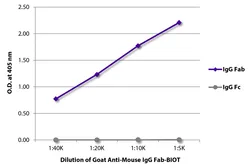 Goat Anti-Mouse IgG (Fab) antibody, pre-adsorbed (Biotin). GTX04191-02