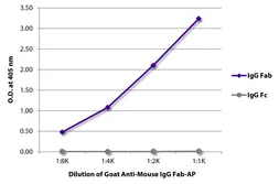 Goat Anti-Mouse IgG (Fab) antibody, pre-adsorbed (AP). GTX04191-03