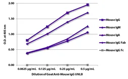 Goat Anti-Mouse IgG (Fab) antibody, pre-adsorbed. GTX04191