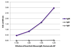 Goat Anti-Mouse IgM (Mu chain) antibody, pre-adsorbed (AP). GTX04192-03
