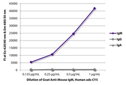 Goat Anti-Mouse IgM (Mu chain) antibody, pre-adsorbed (Cy5). GTX04192-24