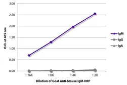 Goat Anti-Mouse IgM (Mu chain) antibody, pre-adsorbed (HRP). GTX04193-01
