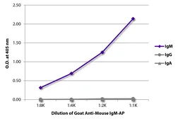 Goat Anti-Mouse IgM (Mu chain) antibody, pre-adsorbed (AP). GTX04193-03