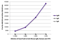 Goat Anti-Mouse IgM (Mu chain) antibody, F(ab')2 fragment, pre-adsorbed (FITC). GTX04194-06