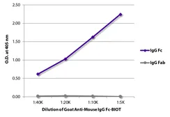 Goat Anti-Mouse IgG (Fc) antibody, pre-adsorbed (Biotin). GTX04197-02