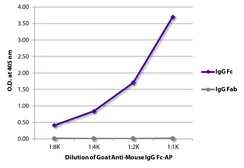 Goat Anti-Mouse IgG (Fc) antibody, pre-adsorbed (AP). GTX04197-03