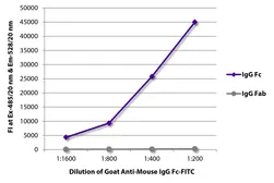 Goat Anti-Mouse IgG (Fc) antibody, pre-adsorbed (FITC). GTX04197-06