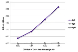 Goat Anti-Mouse IgA (Heavy chain) antibody, pre-adsorbed (AP). GTX04200-03