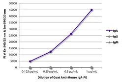 Goat Anti-Mouse IgA (Heavy chain) antibody, pre-adsorbed (PE). GTX04200-08