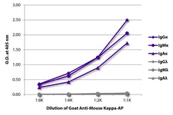 Goat Anti-Mouse kappa light chain antibody, pre-adsorbed (AP). GTX04201-03
