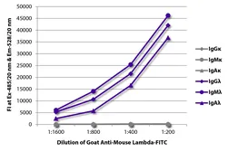 Goat Anti-Mouse lambda light chain antibody, pre-adsorbed (FITC). GTX04203-06