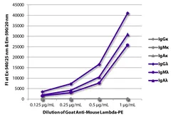 Goat Anti-Mouse lambda light chain antibody, pre-adsorbed (PE). GTX04203-08