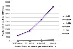 Goat Anti-Mouse IgG1 (Heavy chain) antibody, pre-adsorbed (Cy5). GTX04204-24