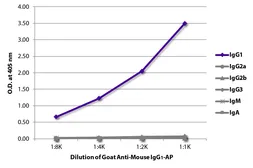 Goat Anti-Mouse IgG1 (Heavy chain) antibody, pre-adsorbed (AP). GTX04205-03