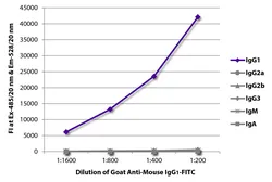Goat Anti-Mouse IgG1 (Heavy chain) antibody, pre-adsorbed (FITC). GTX04205-06