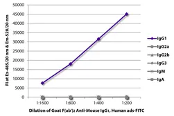 Goat Anti-Mouse IgG1 (Heavy chain) antibody, F(ab')2 fragment, pre-adsorbed (FITC). GTX04206-06