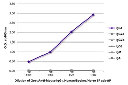 Goat Anti-Mouse IgG1 (Heavy chain) antibody, pre-adsorbed (AP). GTX04207-03