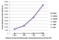 Goat Anti-Mouse IgG1 (Heavy chain) antibody, pre-adsorbed (FITC). GTX04207-06