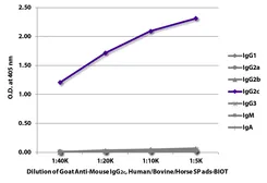 Goat Anti-Mouse IgG2c (Heavy chain) antibody, pre-adsorbed (Biotin). GTX04208-02