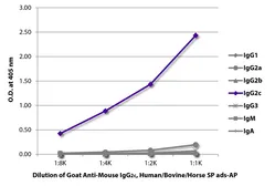 Goat Anti-Mouse IgG2c (Heavy chain) antibody, pre-adsorbed (AP). GTX04208-03