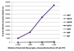 Goat Anti-Mouse IgG2c (Heavy chain) antibody, pre-adsorbed (FITC). GTX04208-06