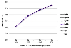 Goat Anti-Mouse IgG2c (Heavy chain) antibody, pre-adsorbed (Biotin). GTX04209-02