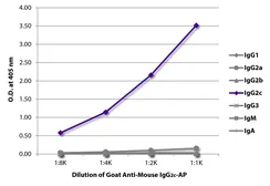 Goat Anti-Mouse IgG2c (Heavy chain) antibody, pre-adsorbed (AP). GTX04209-03