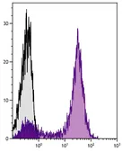 Goat Anti-Mouse IgG2a (Heavy chain) antibody, pre-adsorbed (APC-Cy7). GTX04210-15