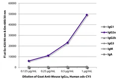 Goat Anti-Mouse IgG2a (Heavy chain) antibody, pre-adsorbed (Cy5). GTX04210-24