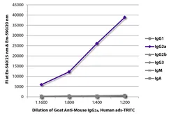 Goat Anti-Mouse IgG2a (Heavy chain) antibody, pre-adsorbed (TRITC). GTX04210-25