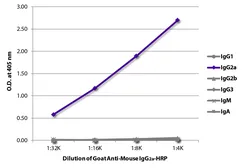 Goat Anti-Mouse IgG2a (Heavy chain) antibody, pre-adsorbed (HRP). GTX04211-01