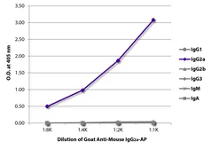 Goat Anti-Mouse IgG2a (Heavy chain) antibody, pre-adsorbed (AP). GTX04211-03