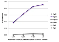 Goat Anti-Mouse IgG2a (Heavy chain) antibody, F(ab')2 fragment, pre-adsorbed (Biotin). GTX04212-02