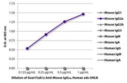 Goat Anti-Mouse IgG2a (Heavy chain) antibody, F(ab')2 fragment, pre-adsorbed. GTX04212