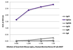 Goat Anti-Mouse IgG2a (Heavy chain) antibody, pre-adsorbed (Biotin). GTX04213-02