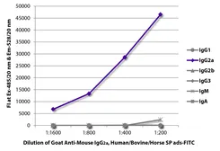 Goat Anti-Mouse IgG2a (Heavy chain) antibody, pre-adsorbed (FITC). GTX04213-06