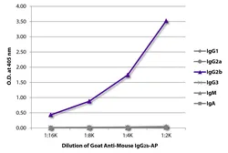 Goat Anti-Mouse IgG2b (Heavy chain) antibody, pre-adsorbed (AP). GTX04215-03