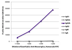 Goat Anti-Mouse IgG2b (Heavy chain) antibody, F(ab')2 fragment, pre-adsorbed (FITC). GTX04216-06