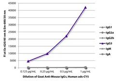 Goat Anti-Mouse IgG3 (Heavy chain) antibody, pre-adsorbed (Cy5). GTX04218-24